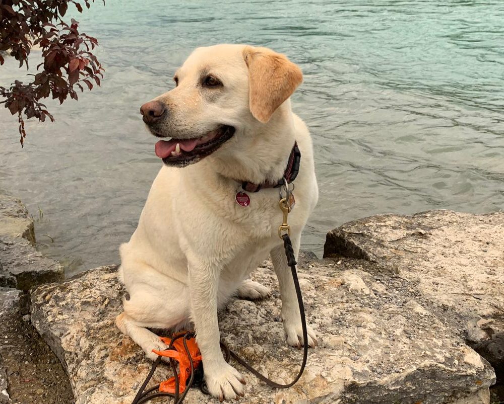 PHOTO-2019-06-16-11-22-09