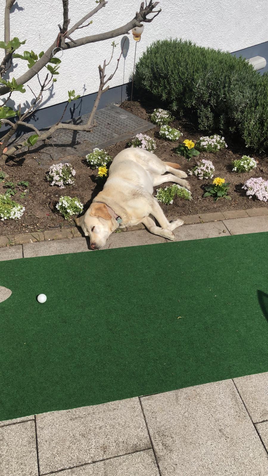 PHOTO-2020-04-16-11-46-53