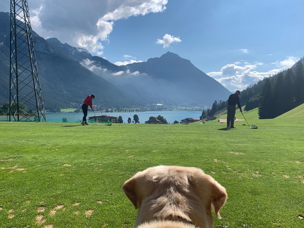 PHOTO-2020-09-03-10-49-28