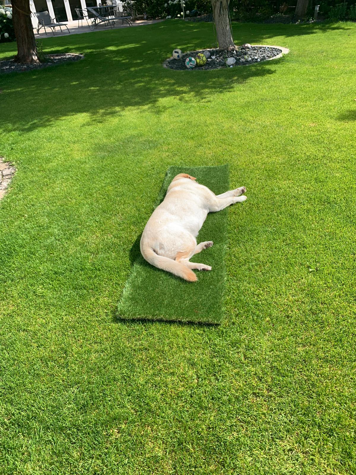 PHOTO-2021-07-10-11-17-44