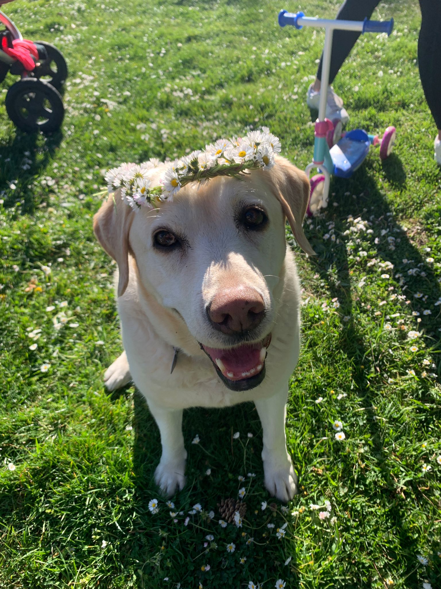 PHOTO-2022-04-17-19-54-06