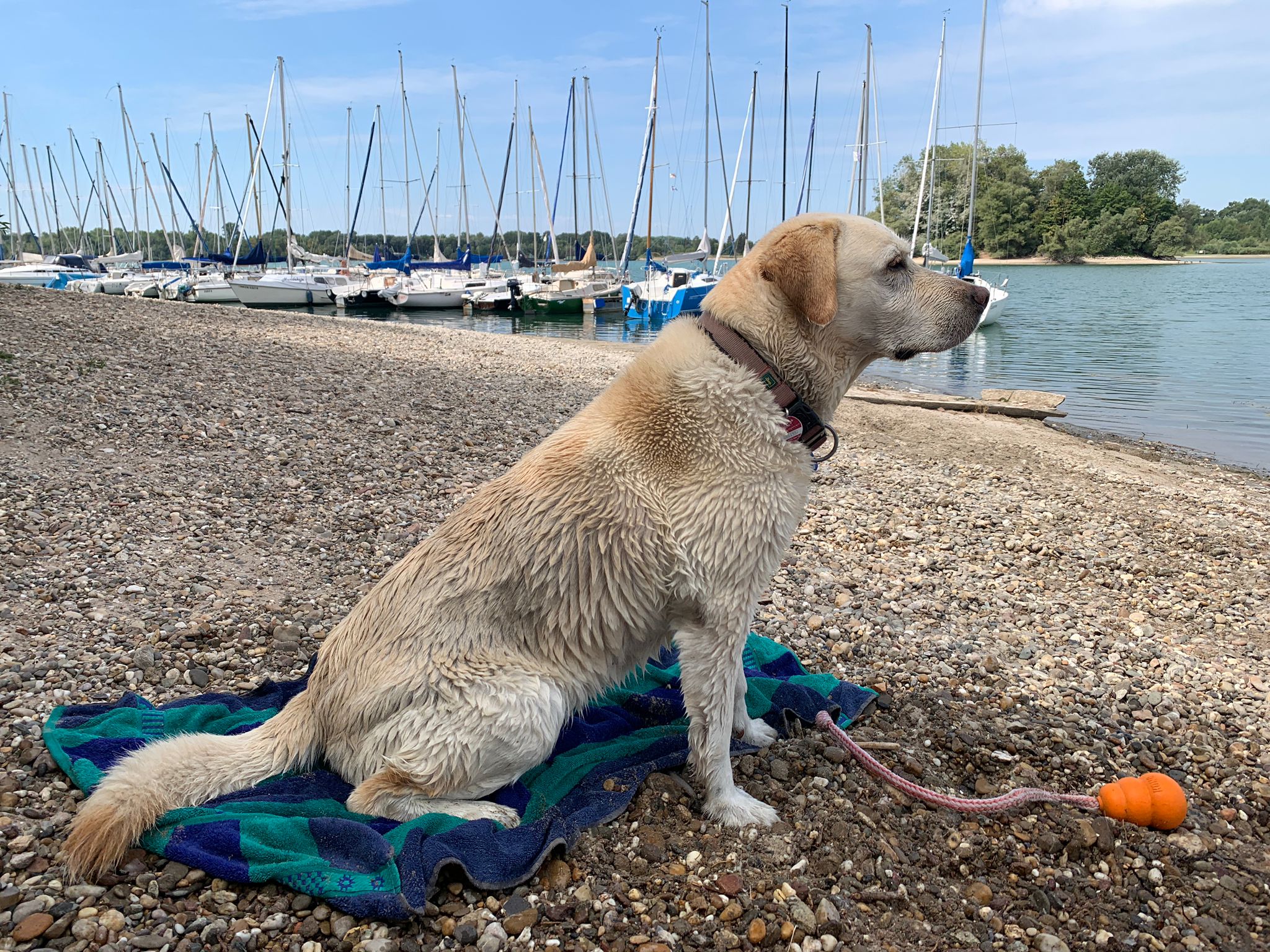 PHOTO-2022-07-31-11-30-57