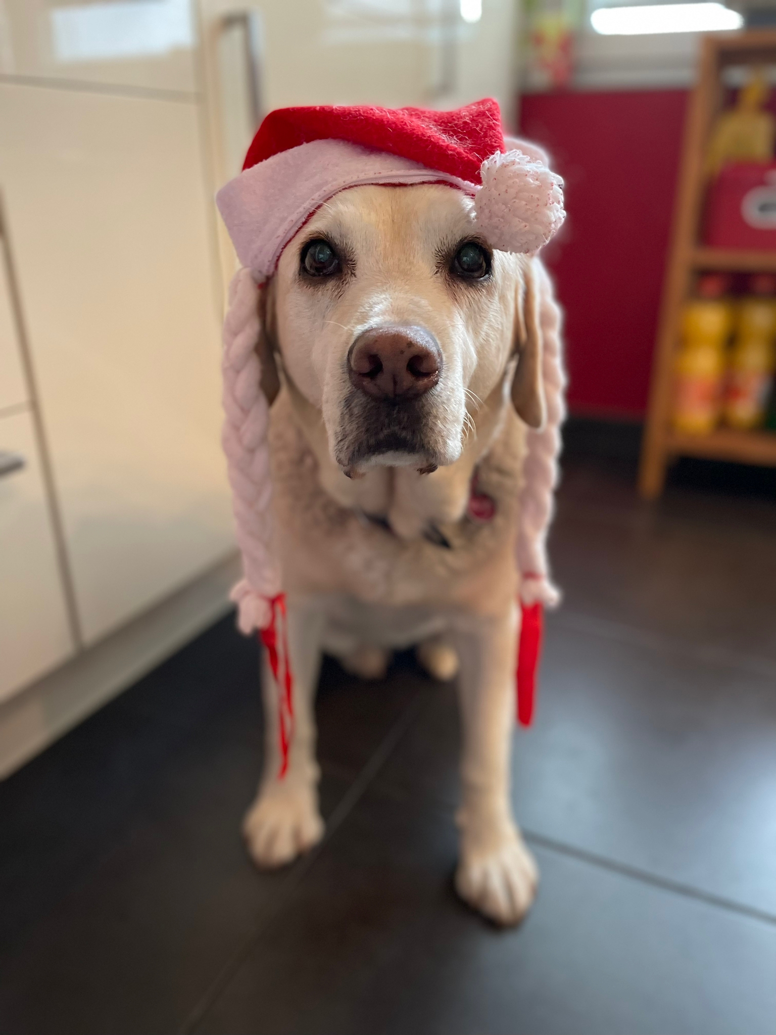 PHOTO-2022-12-25-04-10-34