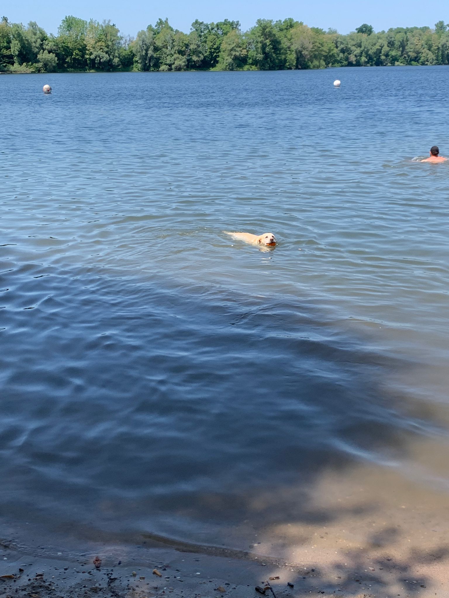 PHOTO-2023-05-28-15-16-41