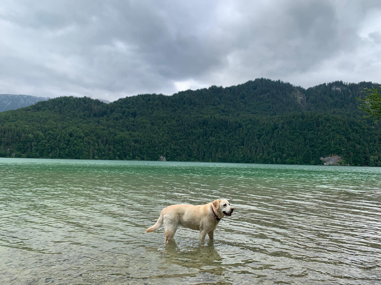 PHOTO-2023-07-03-11-00-14