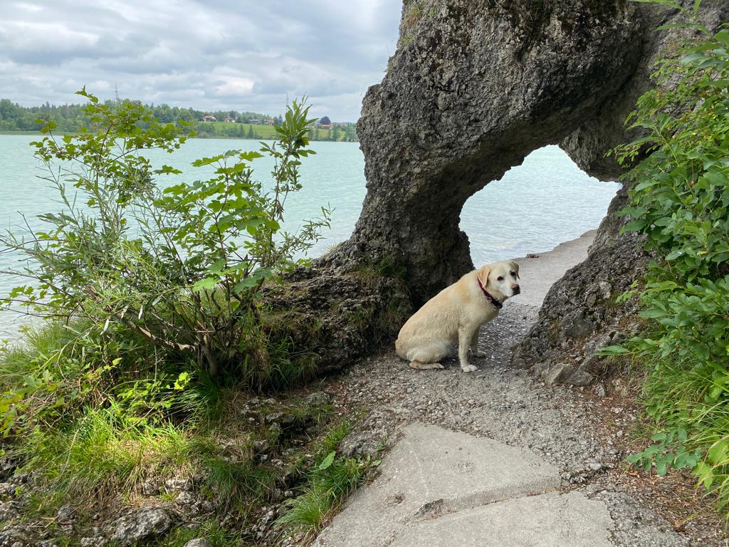 PHOTO-2023-07-03-13-35-08