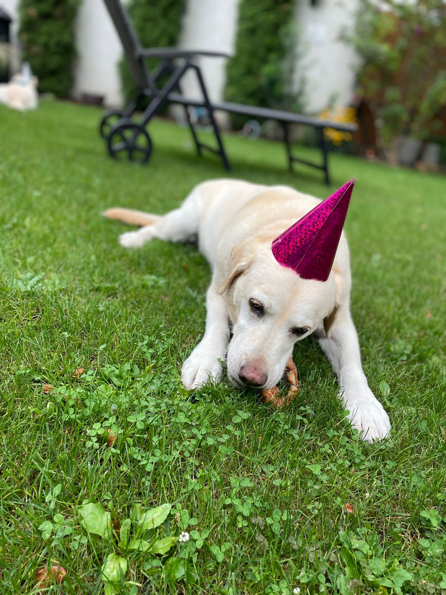 PHOTO-2023-08-14-16-49-20