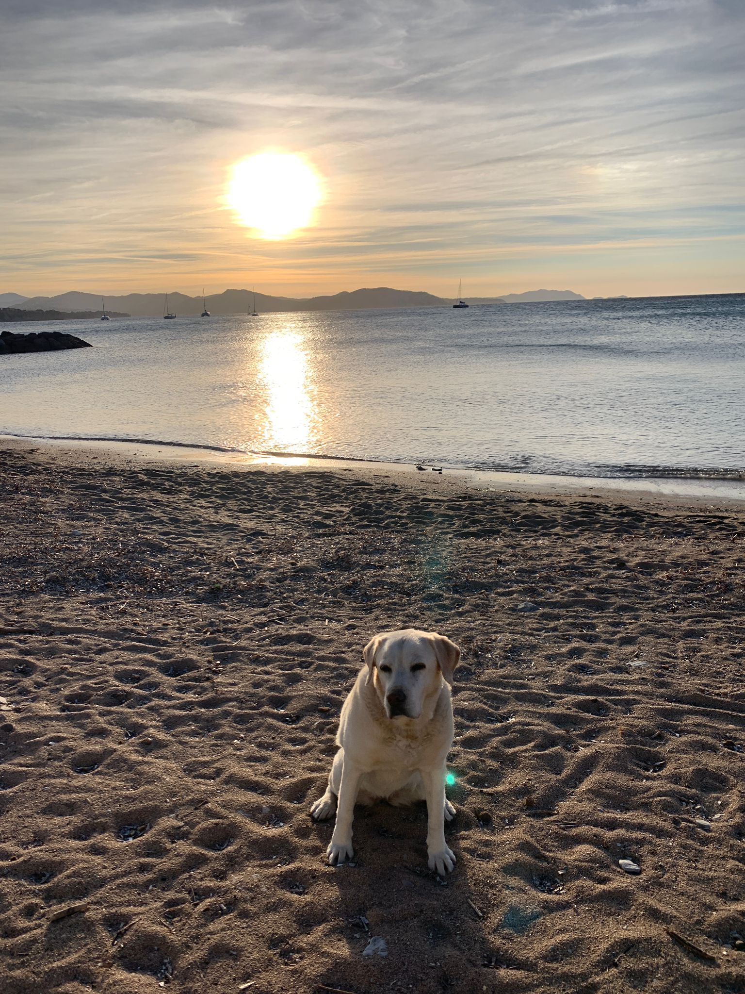 PHOTO-2023-10-15-08-38-18