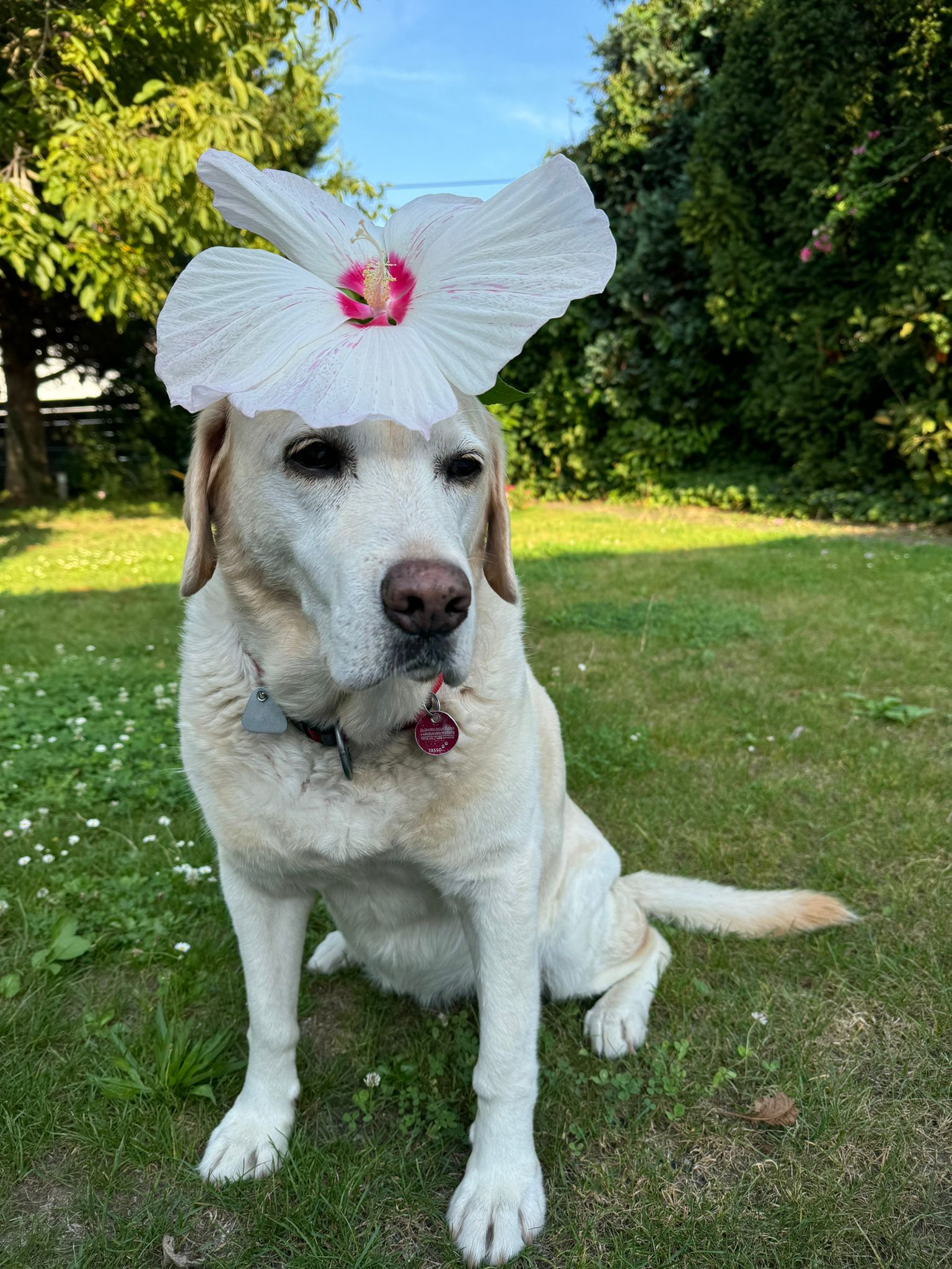 PHOTO-2024-09-04-17-52-31 (1)