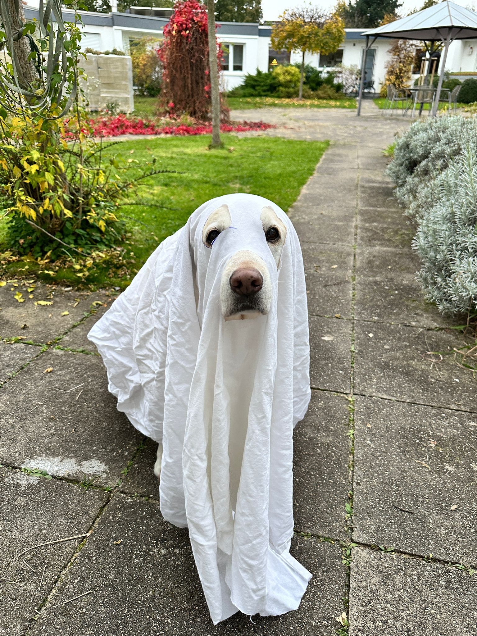 PHOTO-2024-10-31-16-41-54